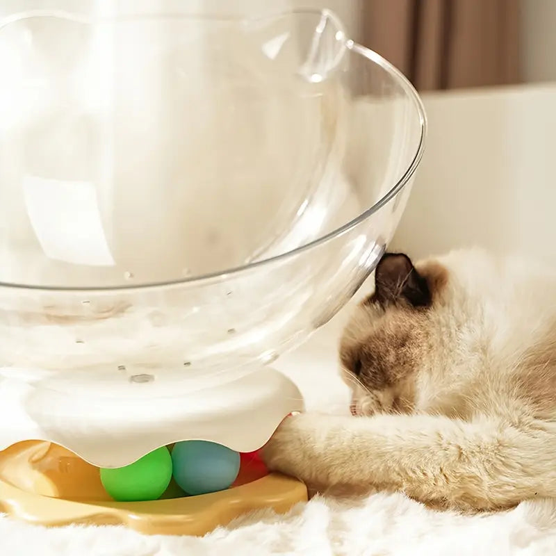 A cat playing with a track ball inside an acrylic capsule-shaped bowl