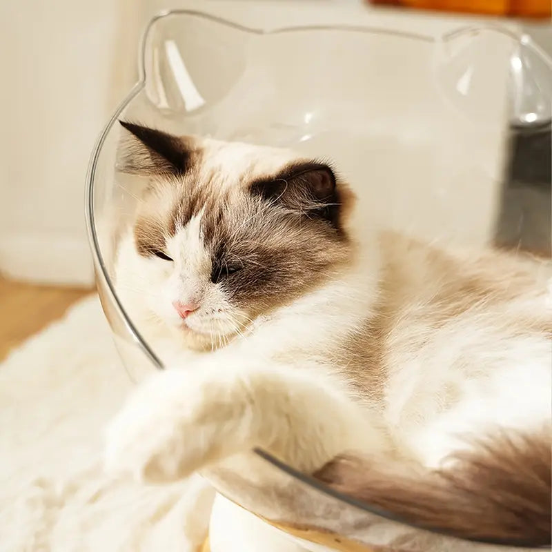A cat sitting inside an acrylic capsule-shaped cat bowl