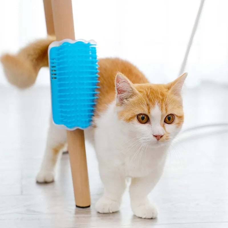 Cat using a blue pet brush on a light wooden floor