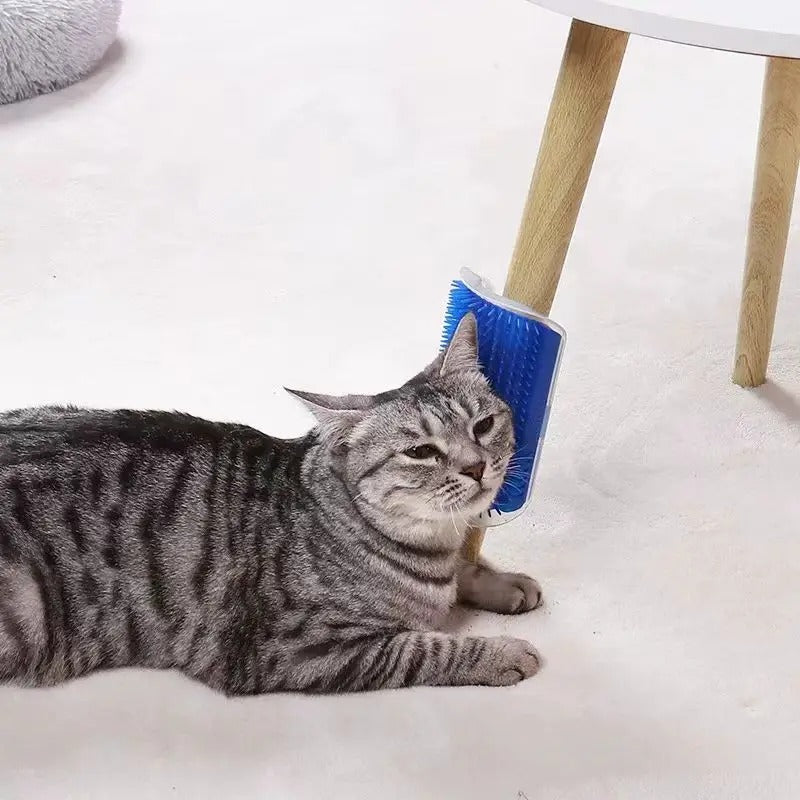 Cat lying on a white floor with a blue pet brush under its paw