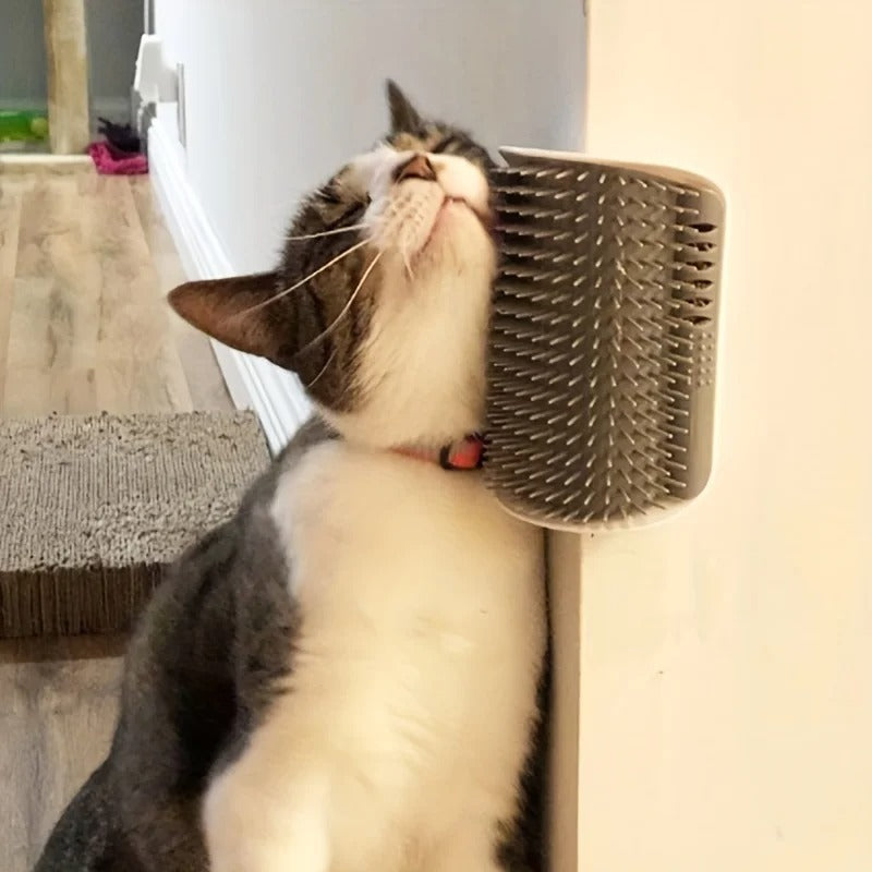 Cat using a wall-mounted cat scratcher in a home setting