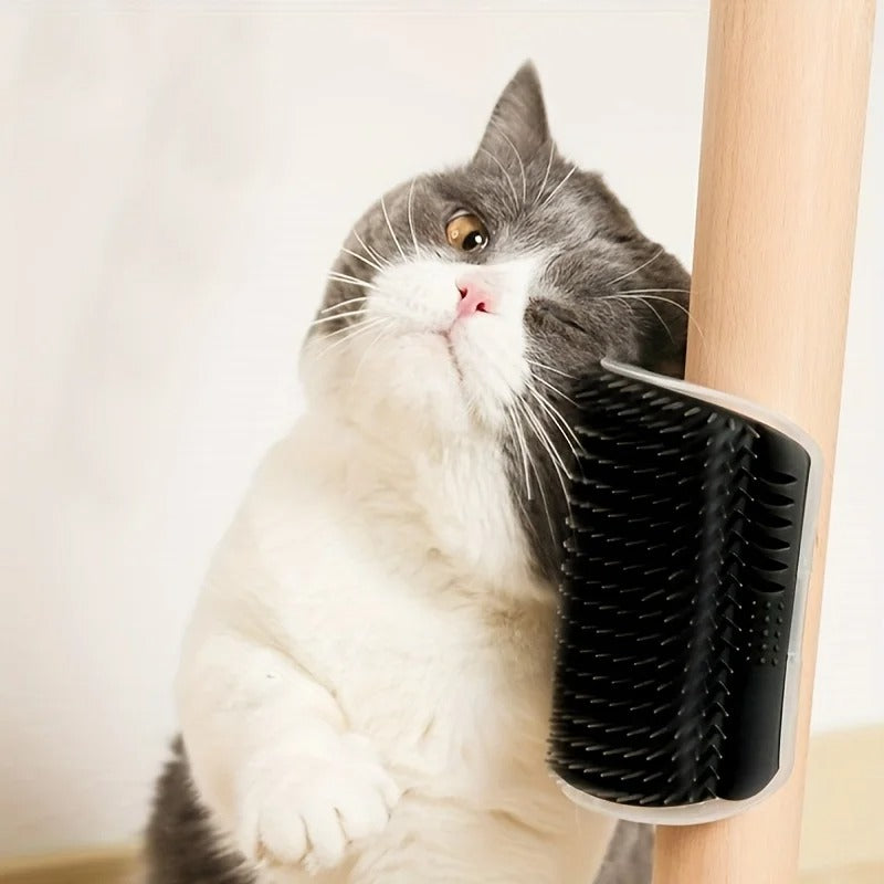 Cat using a self-grooming brush against a light background