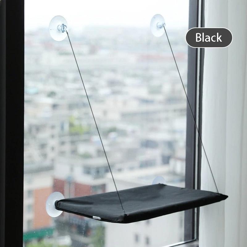 Black window shelf with suction cups on a glass pane with a cityscape background