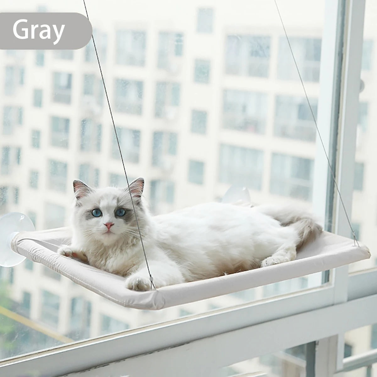 Cat lounging on a gray window hammock with a cityscape background