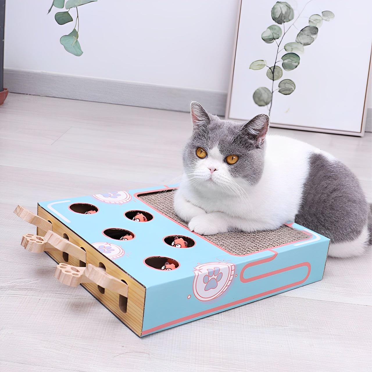 Cat sitting on a blue cat toy with tunnels and a scratching pad.