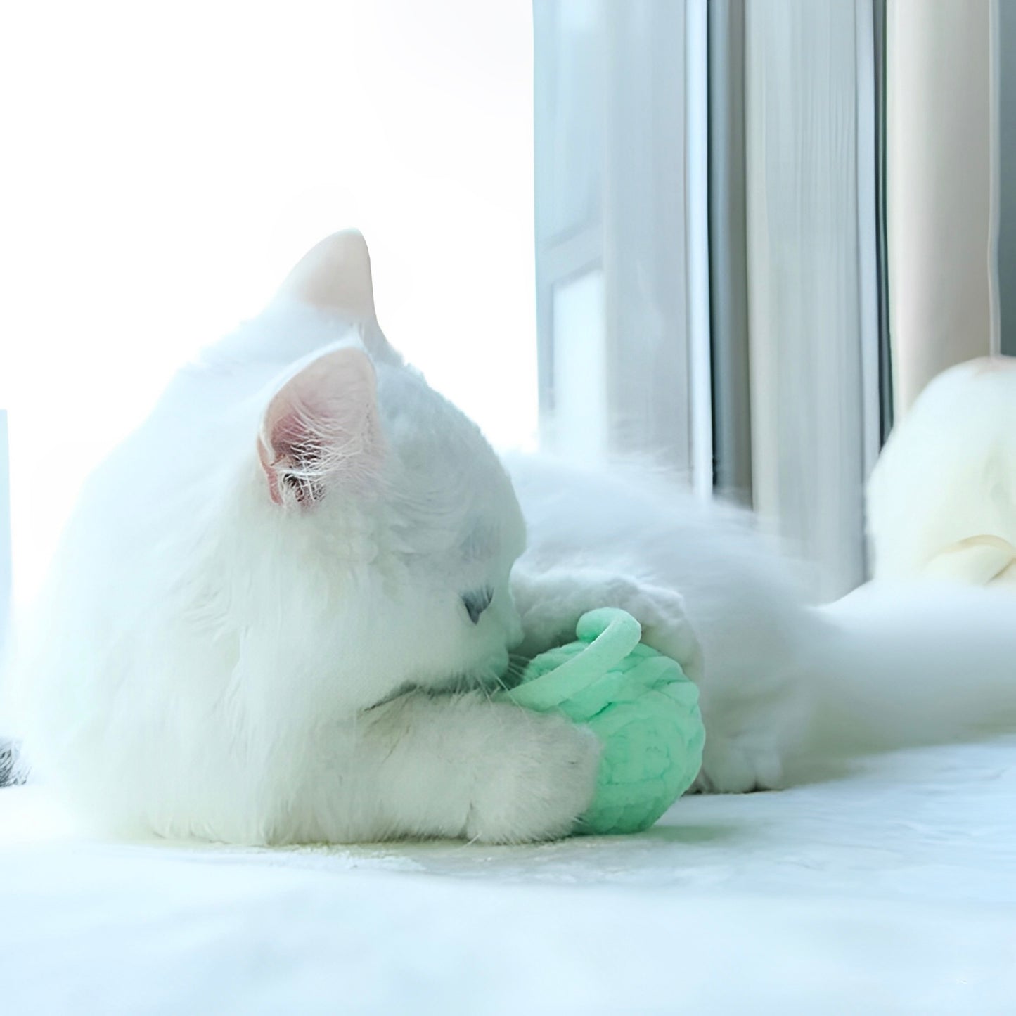 A white cat playing with a green yarn ball