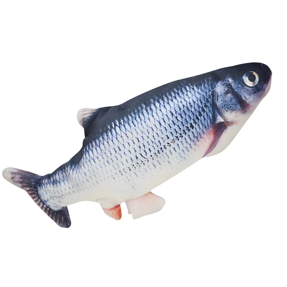 Fish-shaped toy on a white background