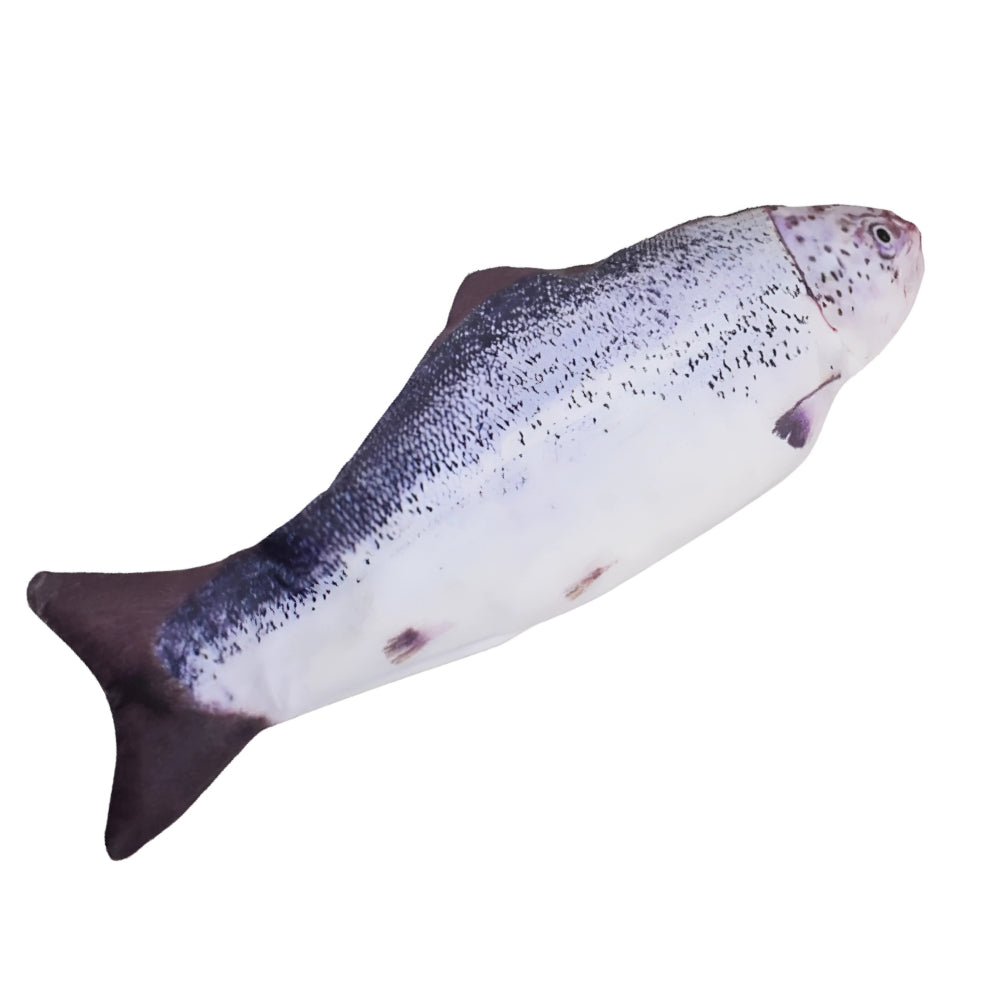 Fish toy on a white background