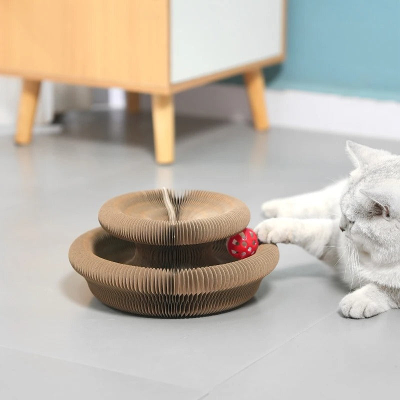 Cat playing with a cardboard cat toy on a floor.