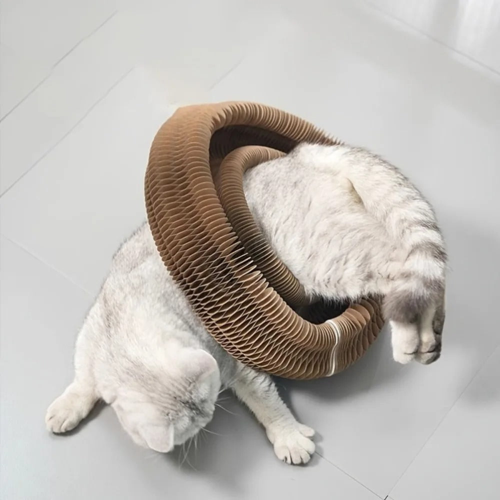 White cat wearing a large brown cardboard tube around its neck on a light gray floor.
