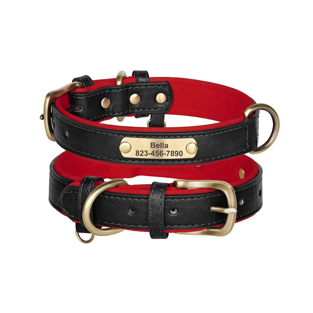 Two dog collars, one black and one red, with gold buckles and engraved nameplates on a white background.