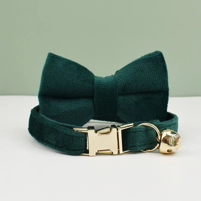 Green bow tie cat collar with gold buckle and bell on a light green background