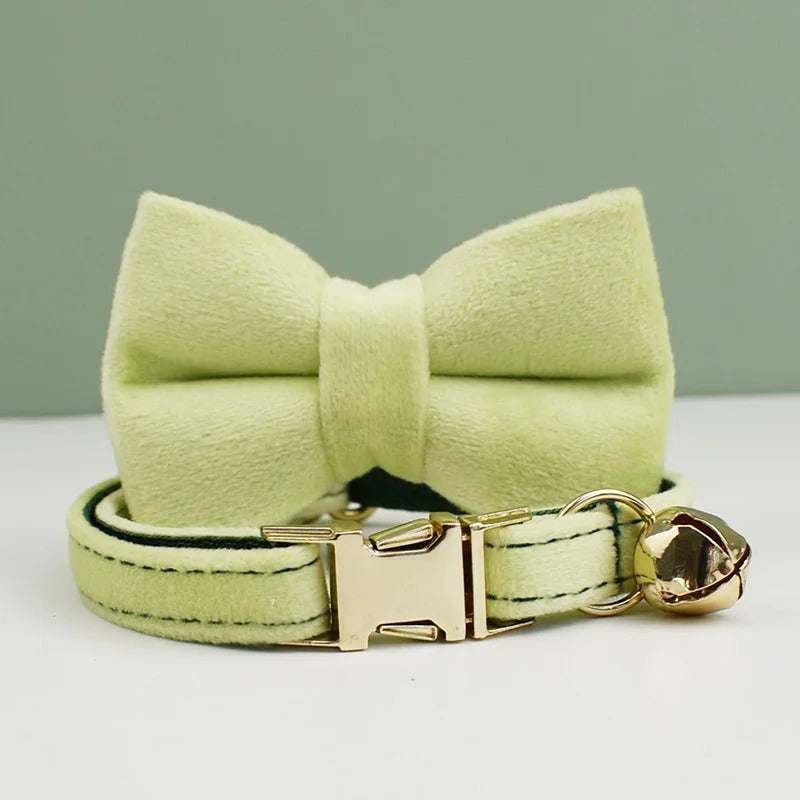 Light green bow tie and matching cat collar with gold buckle on a light gray background