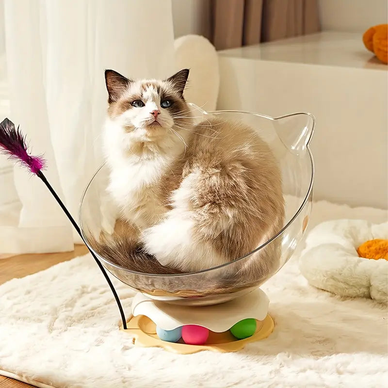 A cat sitting inside an acrylic capsule-shaped cat bowl, which is placed on a white surface with a toy wand and a track ball next to it.
