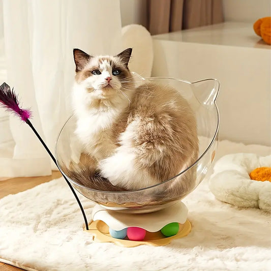 A cat sitting inside an acrylic capsule-shaped cat bowl, which is placed on a white surface with a toy wand and a track ball next to it.
