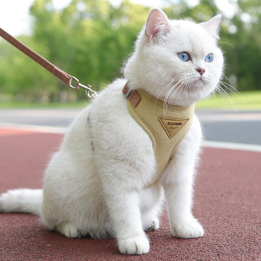 White cat wearing a beige harness with a green outdoor background