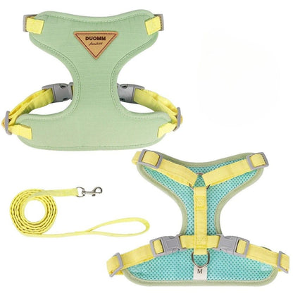 Green cat harness and leash set on a white background