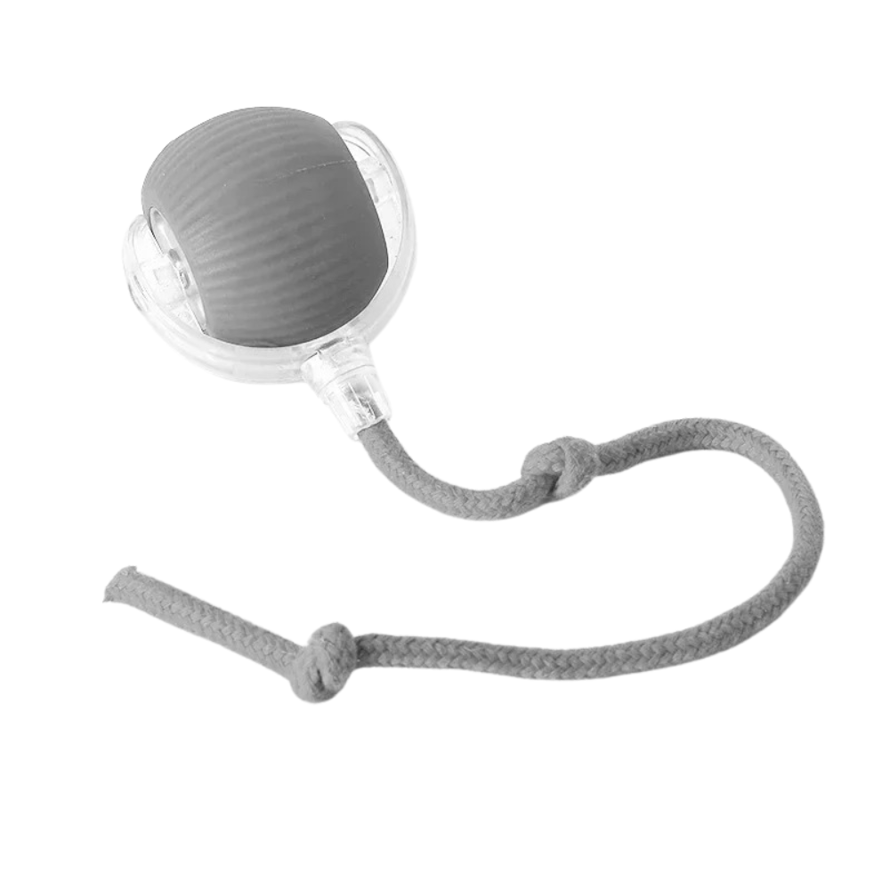 Cat Interactive Smart Ball