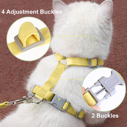 Cat wearing a yellow harness with adjustment buckles on a brown background