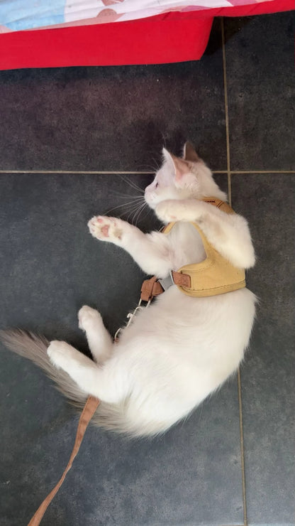 White cat wearing a yellow harness on a dark tiled floor