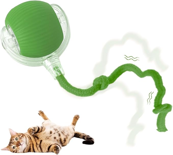 Cat Interactive Smart Ball