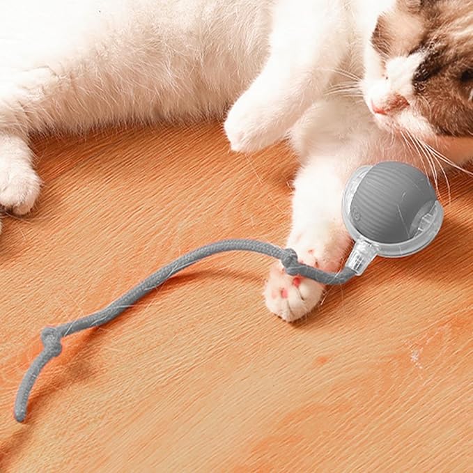 Cat Interactive Smart Ball