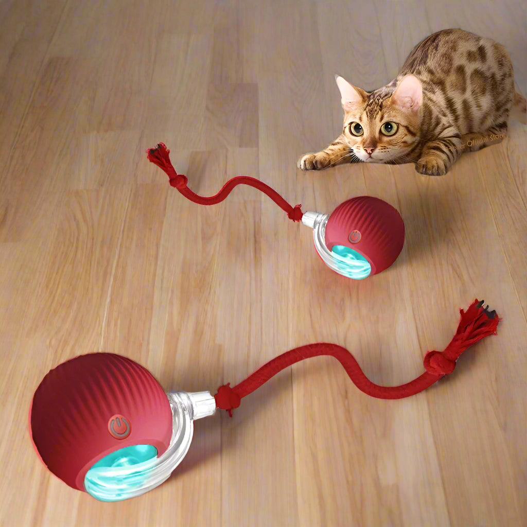 Cat Interactive Smart Ball