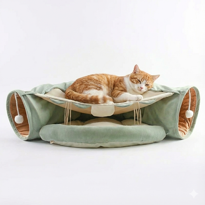 Cat lying on a green pet hammock with a white background