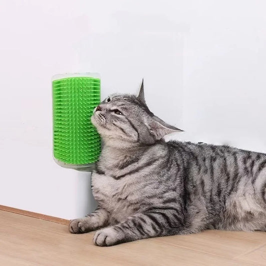 Cat interacting with a green pet toy on a light wooden floor.