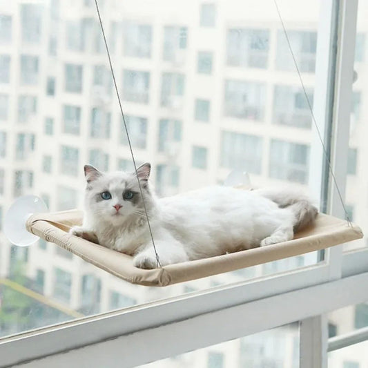 Cat lounging on a hammock by a window with cityscape view