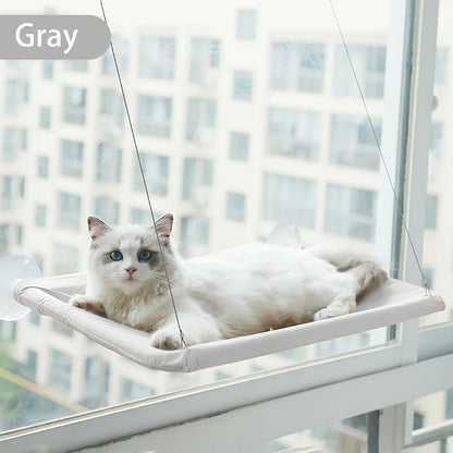 Cat lounging on a gray window hammock with a cityscape background