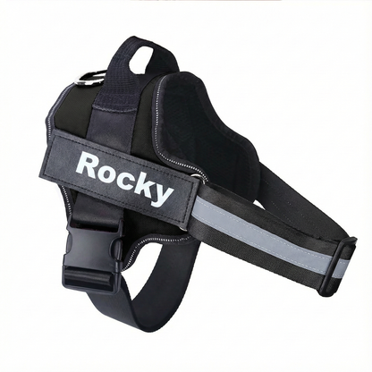 Black dog harness with 'Rocky' label on a white background