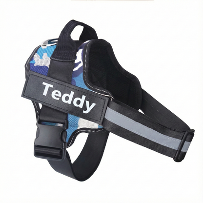 Dog harness with 'Teddy' printed on it against a white background