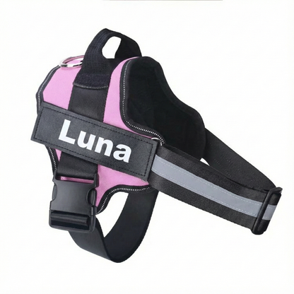 Pink dog harness with 'Luna' branding on a white background