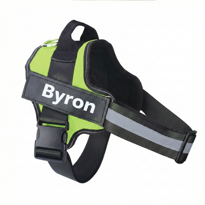 Green and black dog harness with 'Byron' branding on a white background