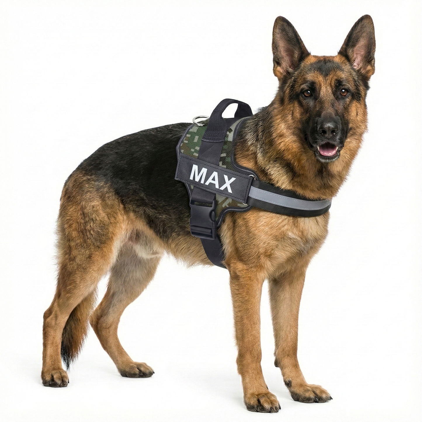 German Shepherd wearing a harness with 'MAX' printed on it against a white background