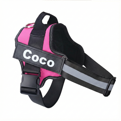 Pink and black dog harness with 'Coco' branding on a white background