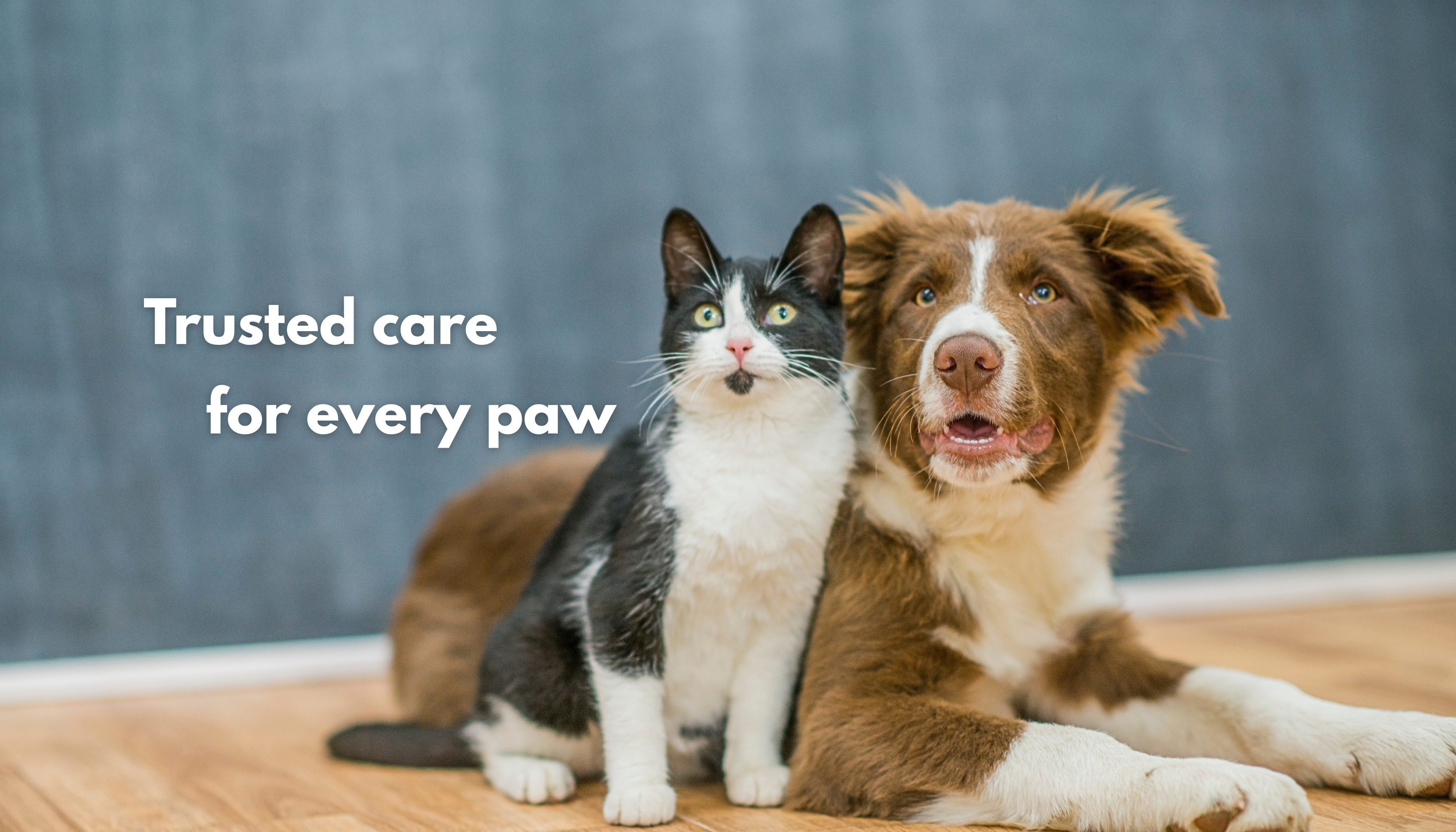 Cat and dog sitting together with text 'Trusted Care for Every Paw' on a wooden floor.