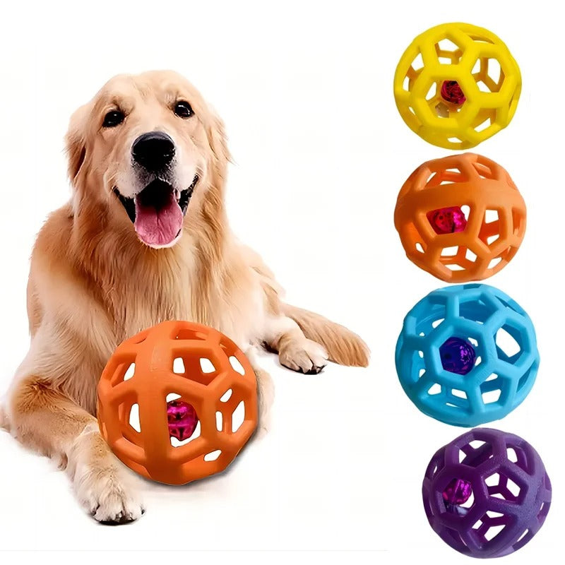 Dog playing with a colorful ball toy on a white background