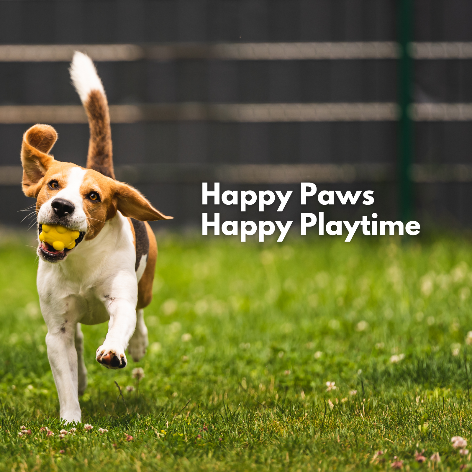Dog running on grass with a tennis ball in its mouth, text 'Happy Paws Happy Playtime' above.