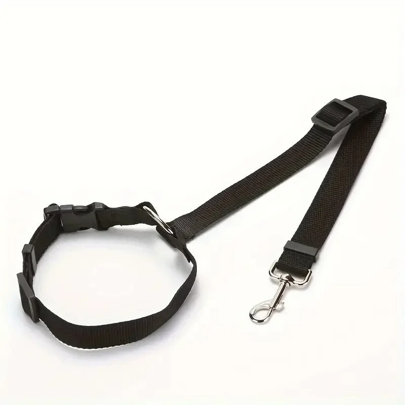 Black dog collar and leash set on a white background