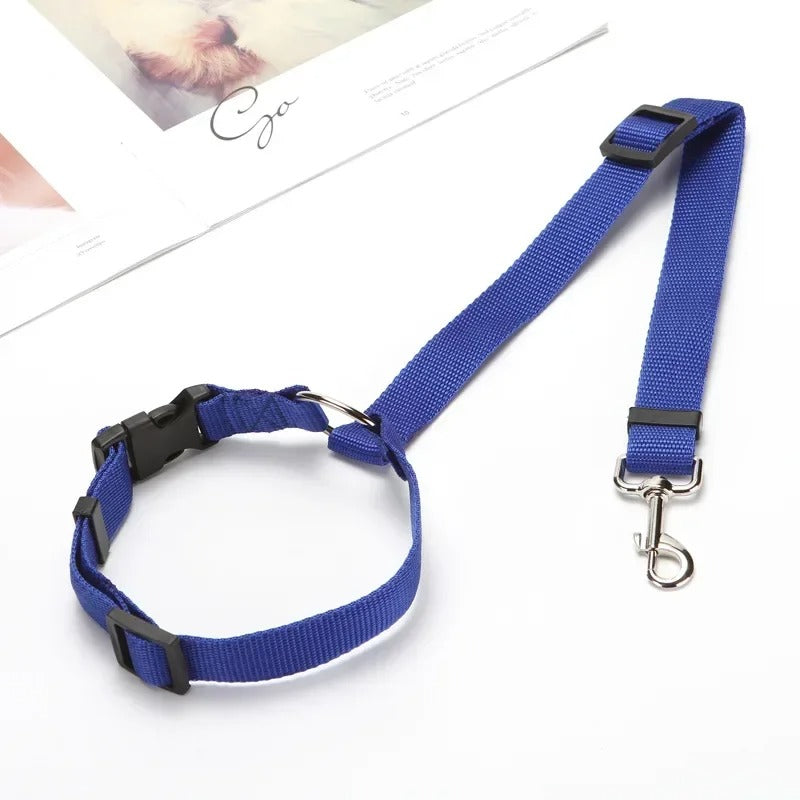 Blue dog collar and leash set on a white background