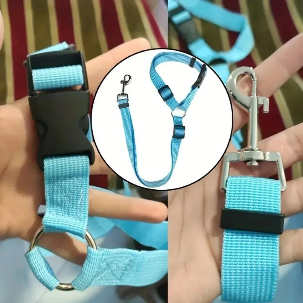 Blue dog collar with black buckle held by a person, with close-up details on a white background.