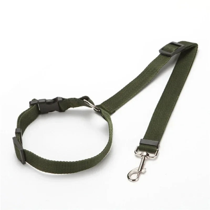 Green dog harness with a metal clip on a white background