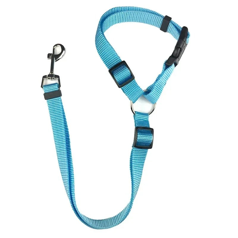 Blue dog harness with black buckles on a white background
