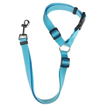 Blue dog harness with black buckles on a white background
