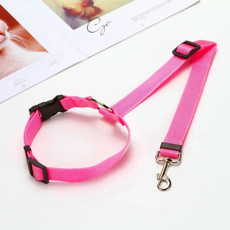 Pink dog collar and leash set on a white surface with a magazine in the background.