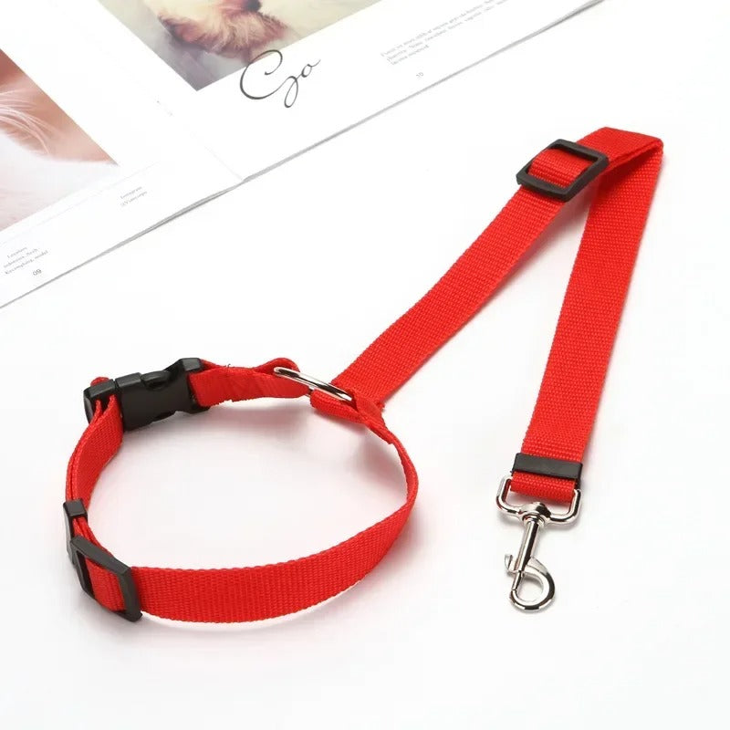Red dog collar and leash set on a white surface