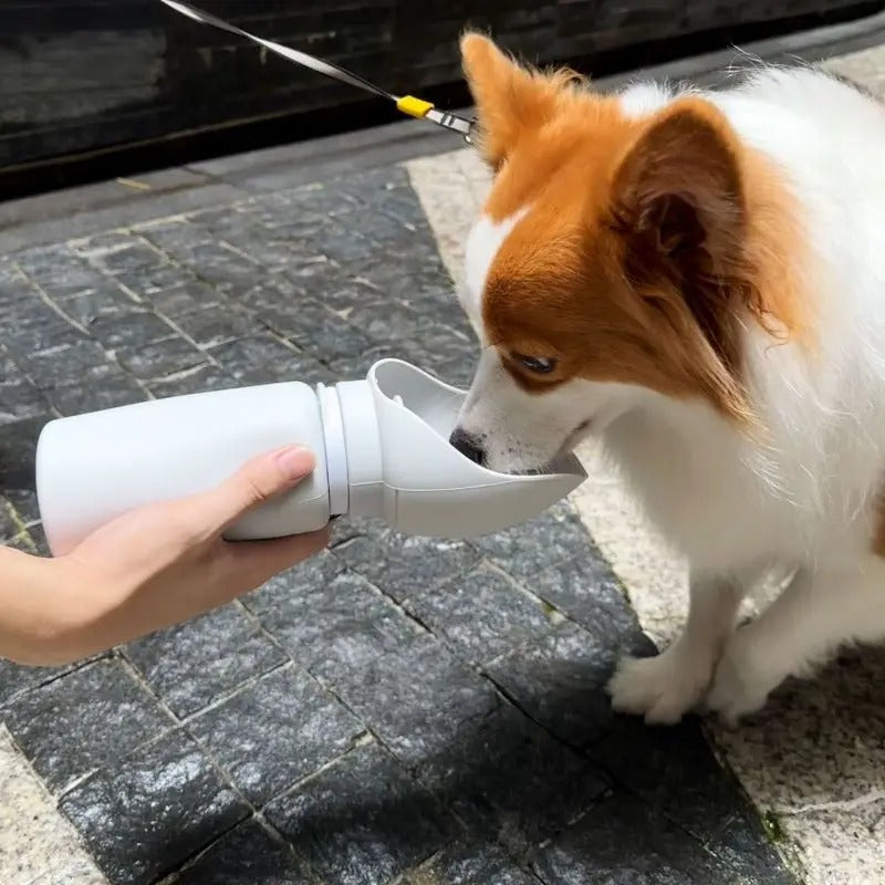 Dog drinking from a white water bottle held by a person on a stone pavement.
