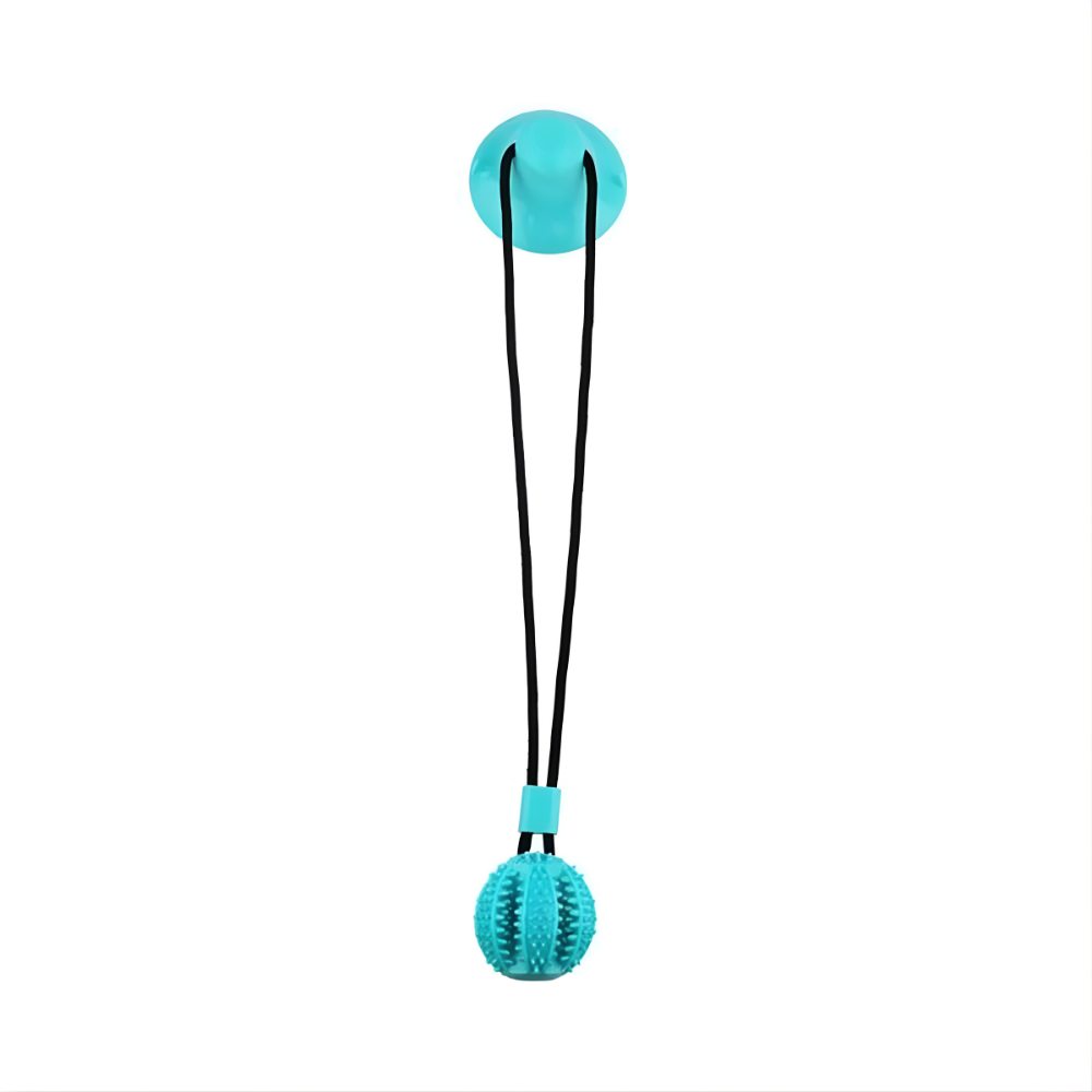 Teal ball with a black string on a white background
